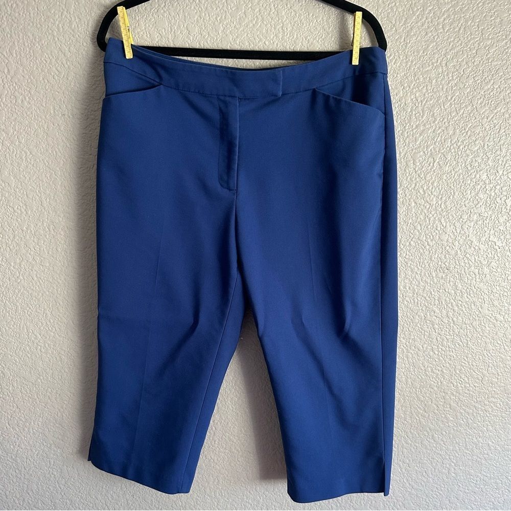 Ruby Rd. Petite Blue Capri Dress Pants - Size 14P
